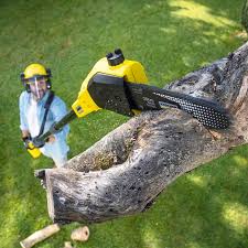 Best Pest Control for Lawns  in Secaucus, NJ